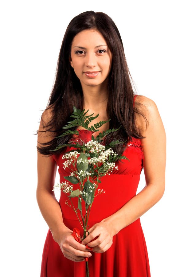 Valentine Rose images stock Valentine Rose images stock