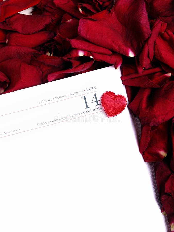 Valentine's day royalty free stock photos