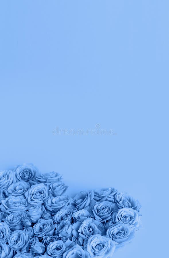 Beautiful Heart Made Roses in a Classic Blue Color on a Blue Background. I  Love You. Greeting `s `s Day. Stock Image - Image of  classic, love: 170222821