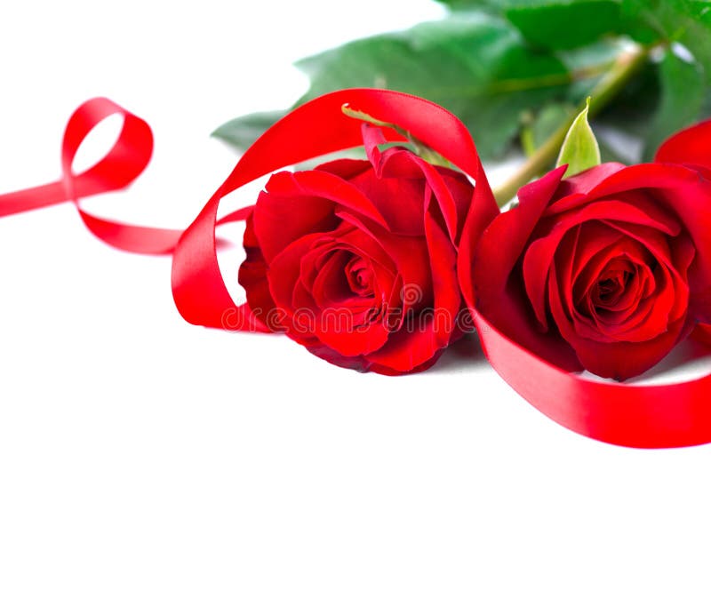 Valentine`s Day. Red roses isolated on white