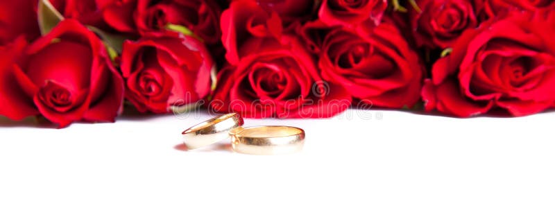 Valentine s day roses and wedding rings isolated