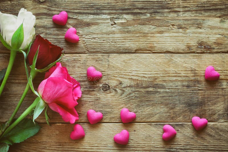 Valentine`s day, three white pink and burgundy roses, stock photos Valentine`s day, three white pink and burgundy roses, stock photos