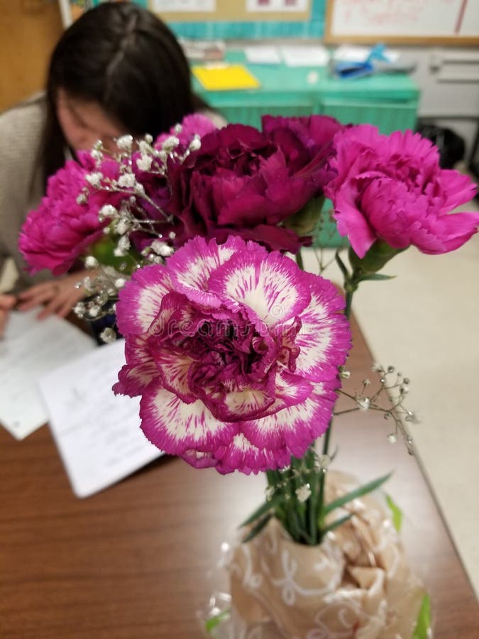 Valentines Valorous Carnations Stock Photo Image of carnations