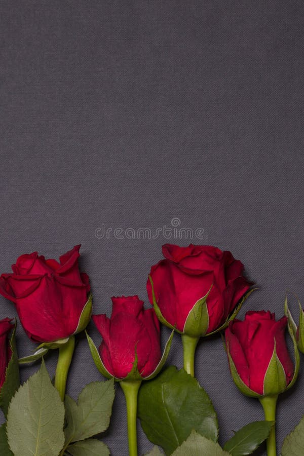 seamless black background with red rose border, free copy text space,Valentines day background. seamless black background with red rose border, free copy text space,Valentines day background