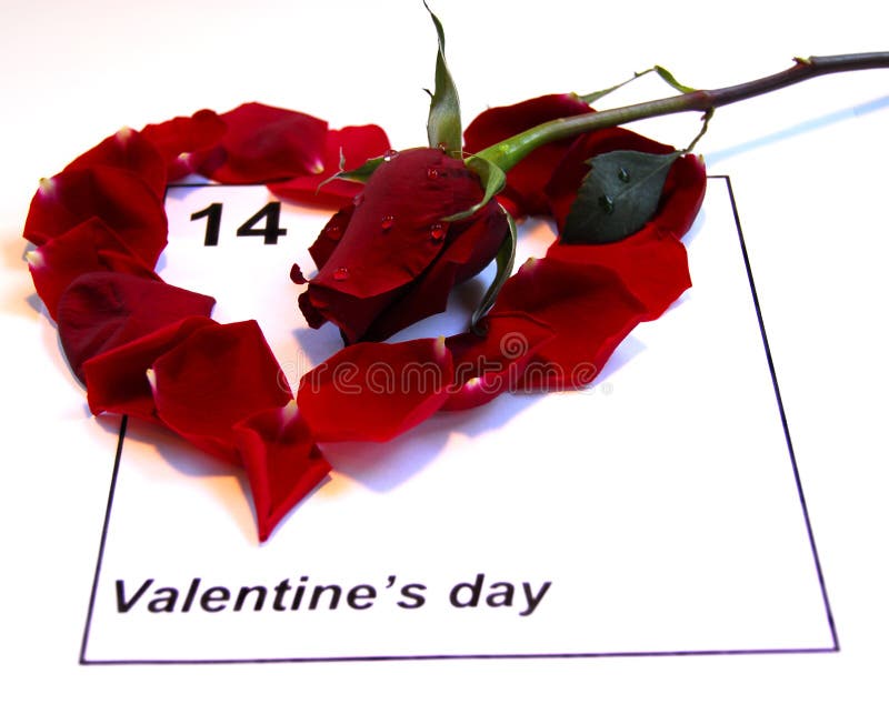 Valentines Day Calendar with single rose