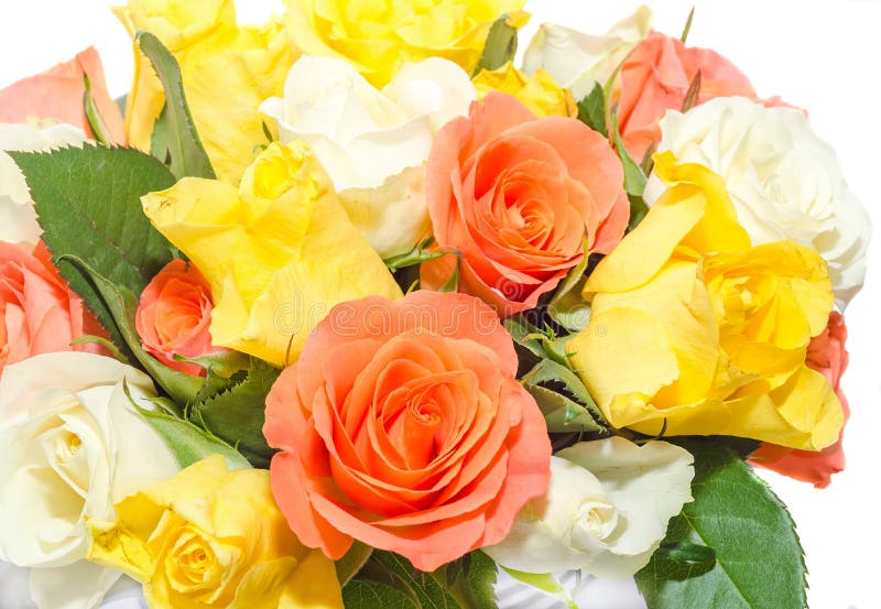 White, Orange, Red and Yellow Roses Flowers, Bouquet, Floral ...