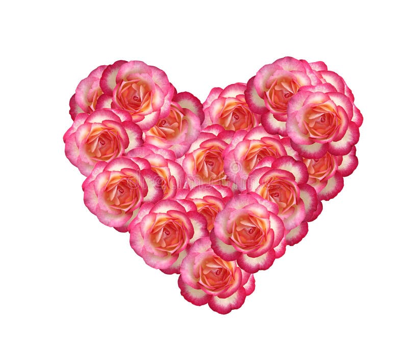 Valentines Day Heart Made Of Pink Roses Isolated On White Background ...