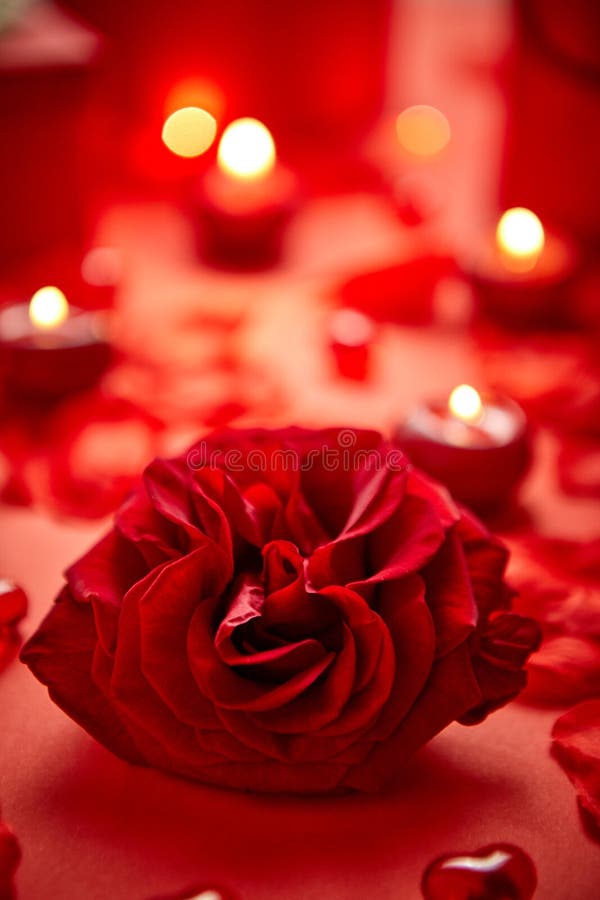 Valentines day romantic decoration with roses, boxed gifts, candles royalty free stock image Valentines day romantic decoration with roses, boxed gifts, candles royalty free stock image