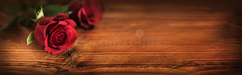 Valentines day with symbolic red roses lit on rustic wood. Symbolic stock images, royalty-free photos and pictures