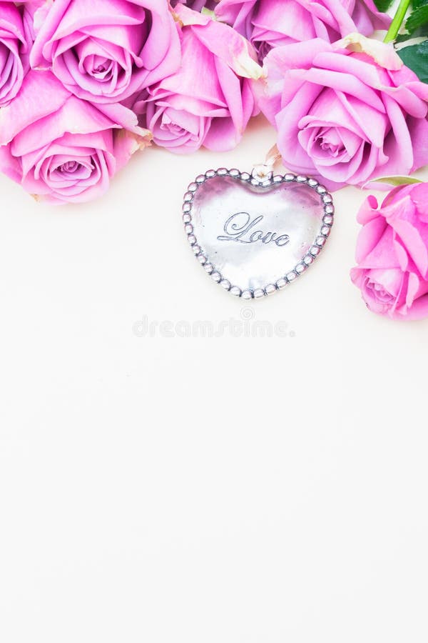 Valentines day violet roses royalty free stock images Valentines day violet roses royalty free stock images
