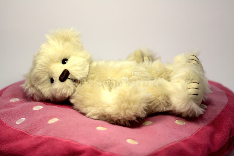 Valentines teddy bear