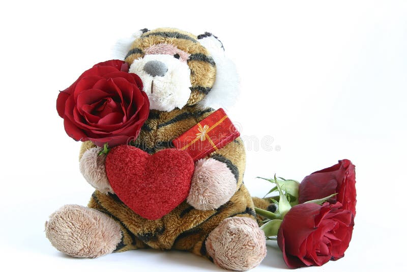 Tiger with heart and red roses isolated on white. Tiger with heart and red roses isolated on white