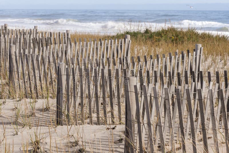 Valla de erosión y hierba marina norteamericana protegiendo la duna de arena de Nauset Beach imagen de archivo libre de regalías Valla de erosión y hierba marina norteamericana protegiendo la duna de arena de Nauset Beach imagen de archivo libre de regalías