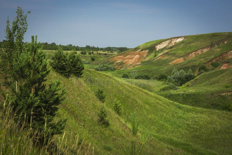 Valle Verde Del Verano Con Una Corriente Imagen de archivo Imagen de