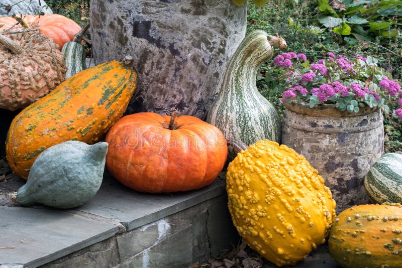 Vallen bloemen en bronnen leven nog steeds royalty-vrije stock afbeelding Vallen bloemen en bronnen leven nog steeds royalty-vrije stock afbeelding