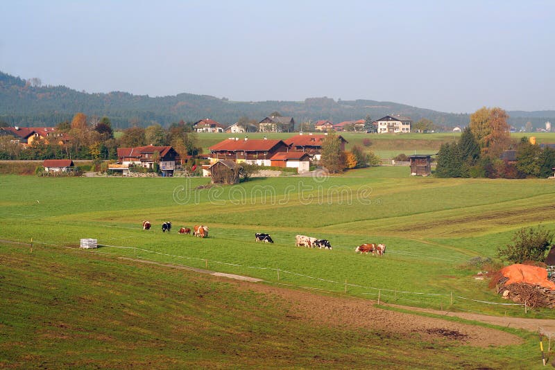 Valley royalty free stock images