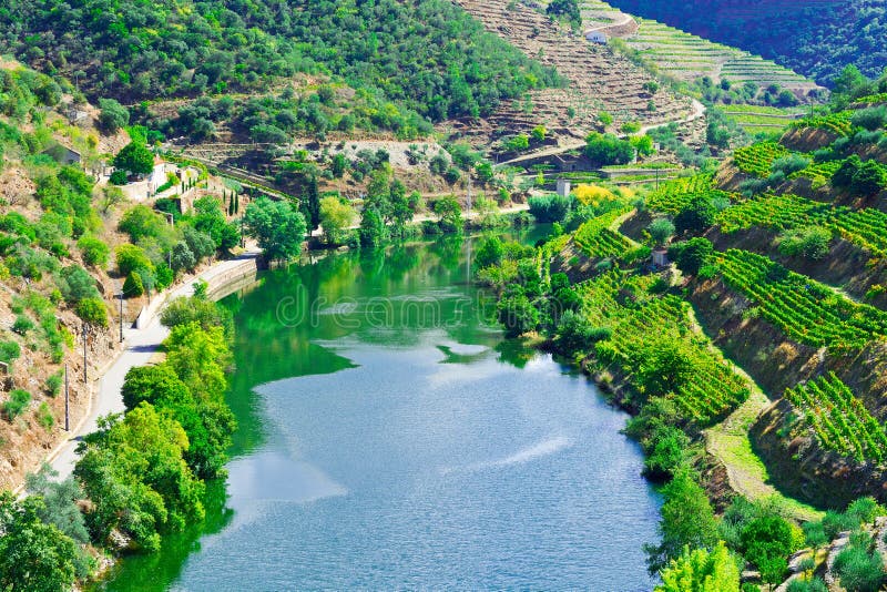 Old Train Line by the River Douro River Stock Photo Image of house