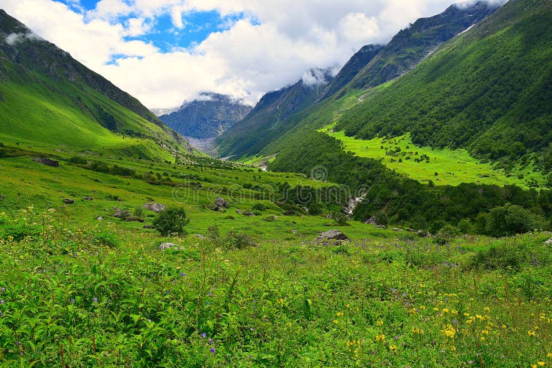 1,999 Valley Flowers India Stock Photos - Free & Royalty-Free Stock Photos from Dreamstime 1,999 Valley Flowers India Stock Photos - Free & Royalty-Free Stock Photos from Dreamstime