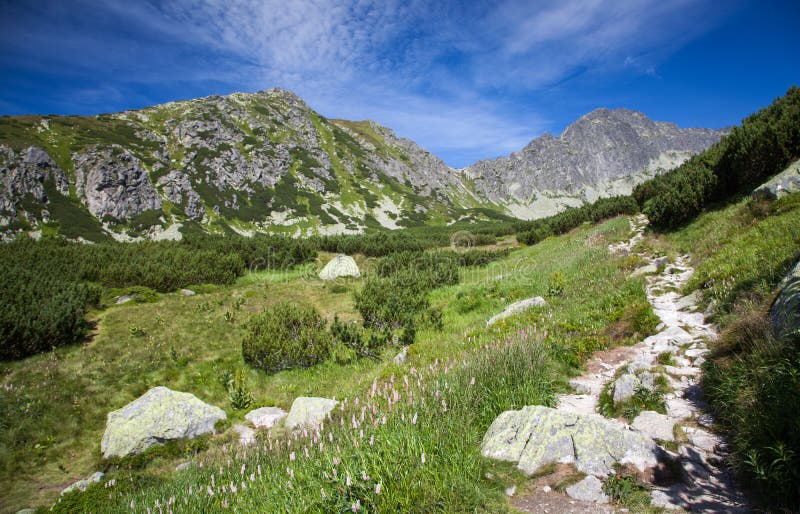 Valley in High Tatras, Slovakia