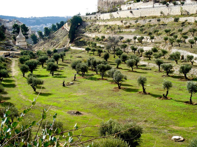 The Valley of Jehoshaphat, Kidron Valley,  east of Jerusalem