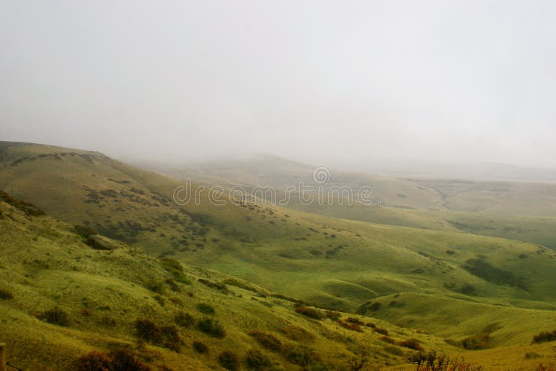 Valley Meadow with Fog