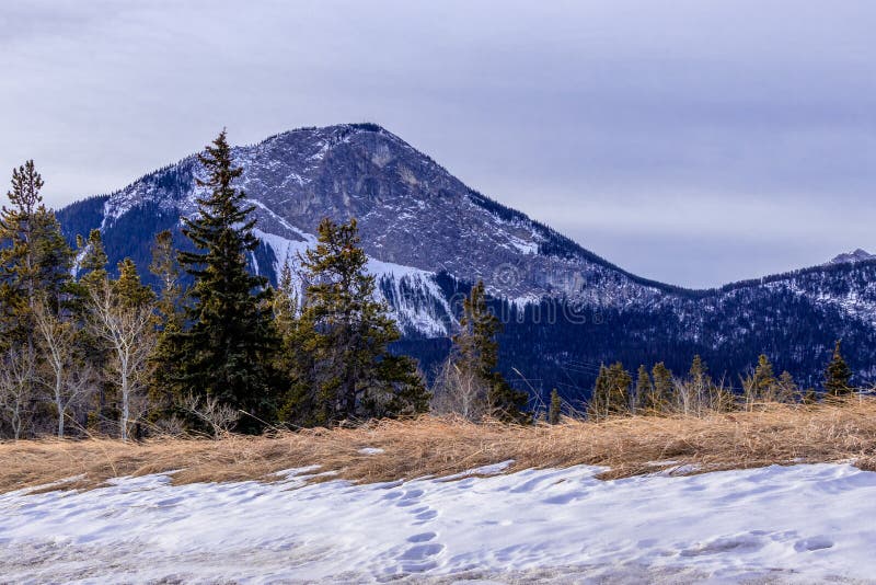 The Valley Still in the Grips of Winter, Bow Valley Provincial Park