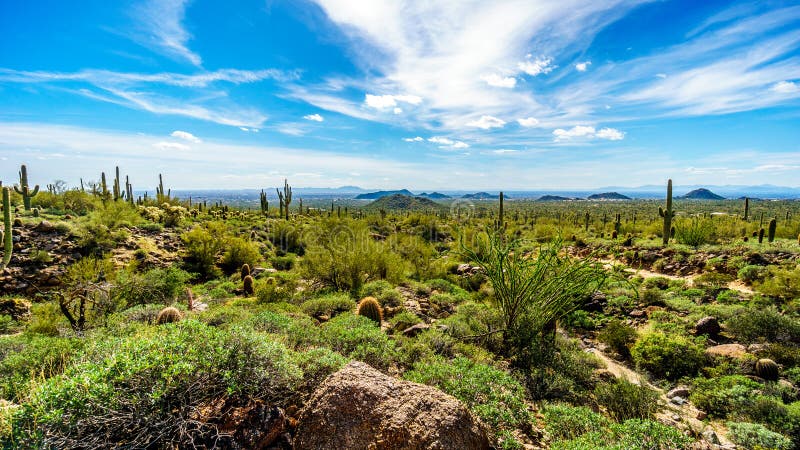 The Valley of the Sun with the city of Phoenix viewed from Usery Mountain Reginal Park