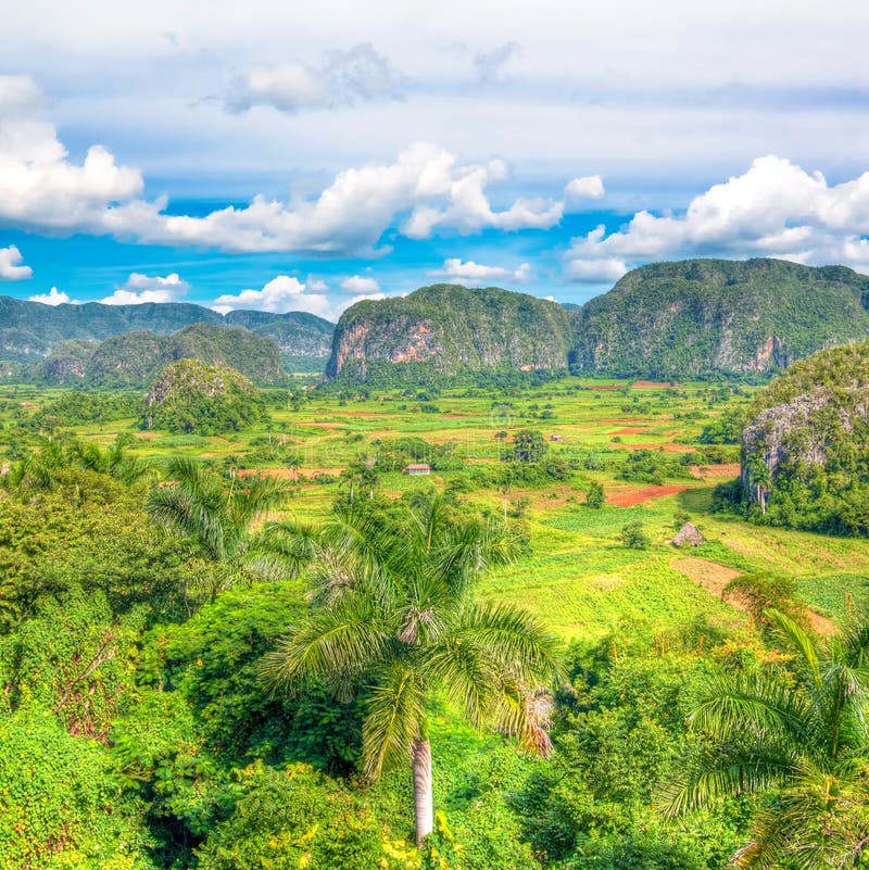 The Valley of Vinales in Cuba