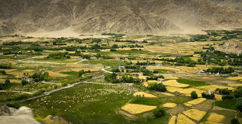 Valley with yellow and green farming plots