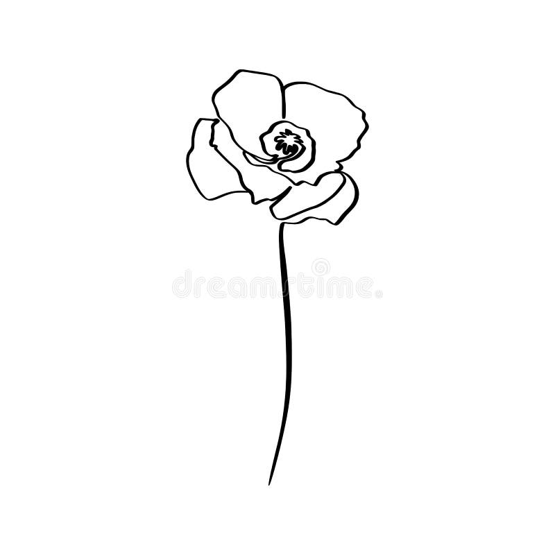 Vallmoblomman är en rasterkonst Vektorabstrakt anläggning i ett trendy minimalistiskt format royaltyfri illustrationer