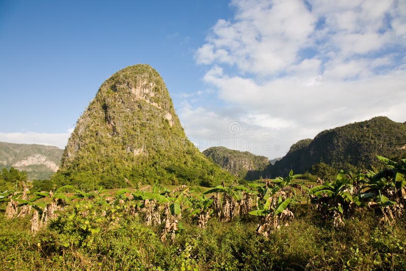 Vallée de Vinales, Cuba photos libres de droits Vallée de Vinales, Cuba photos libres de droits