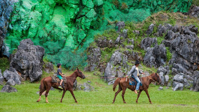 Vallée de Viñales, Cuba : excursions à cheval en parc national de Vinales photos libres de droits Vallée de Viñales, Cuba : excursions à cheval en parc national de Vinales photos libres de droits