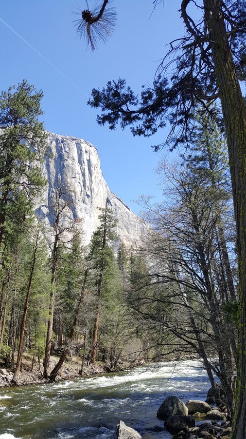 Vallée de Yosemite dans toute sa gloire - rivière de Merced et vue de l'EL C image stock Vallée de Yosemite dans toute sa gloire - rivière de Merced et vue de l'EL C image stock