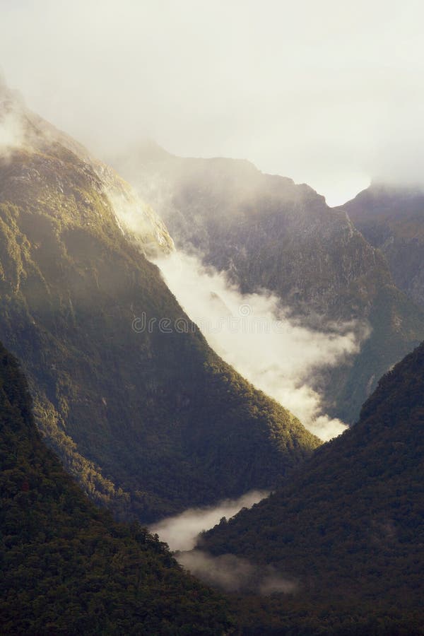 Amazing valley at Milford Sound, New Zealand. Amazing valley at Milford Sound, New Zealand