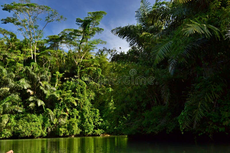  Vallée verte photographie stock