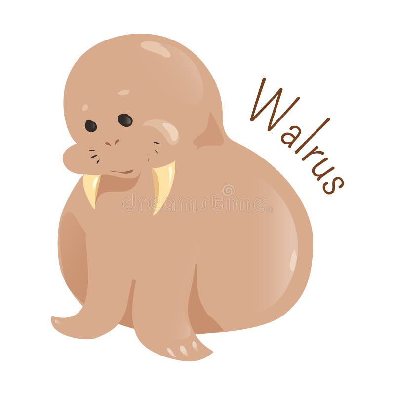 Valross på vit bakgrund vektor illustrationer