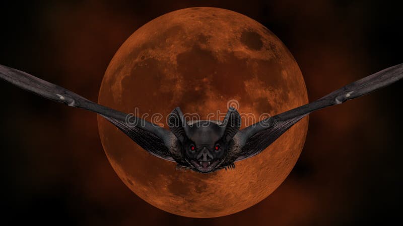 Happy Vampire Bat Cartoon Character Flying Forest Halloween Night Animation  Stock Video Footage by ©HitToon #444794392