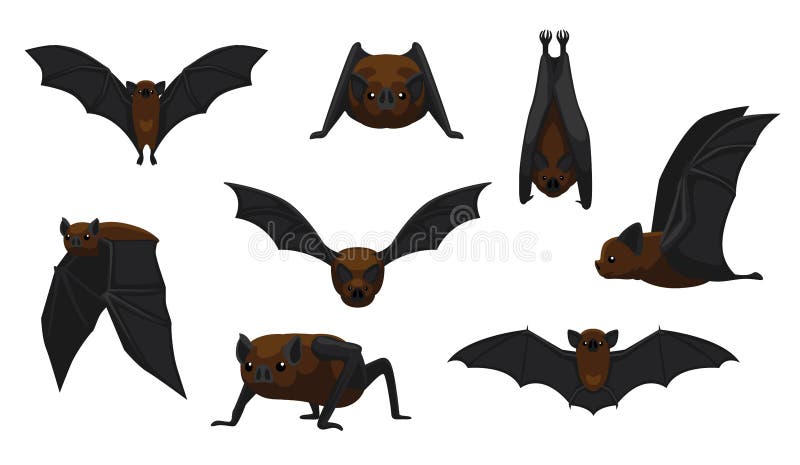 Vampire Bat Flying Cartoon Vector Illustration Stock Vector - Illustration  of wild, blood: 113385042