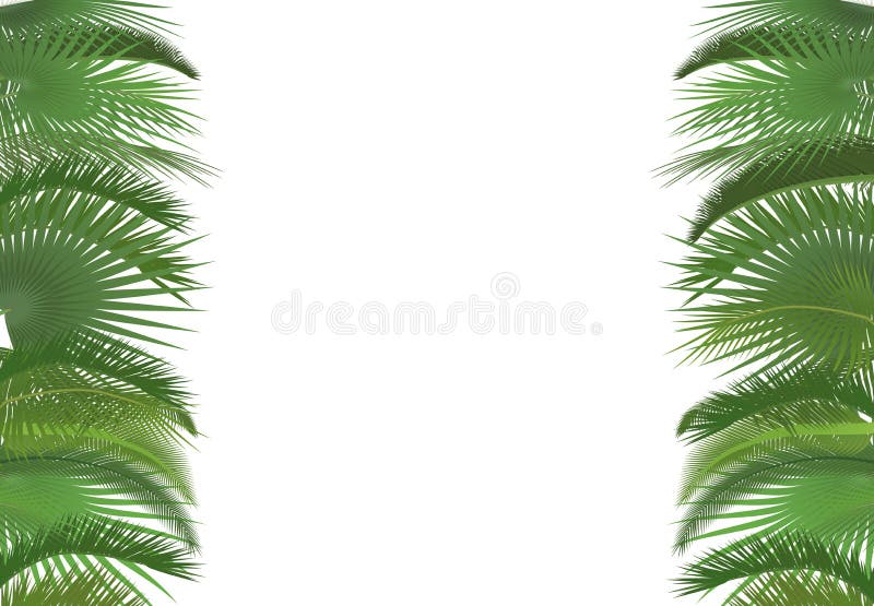 Van de achtergrond boombladeren van de palminstallatie malplaatje Exotische tropische de groetkaart van festivalselebration Het b stock illustratie Van de achtergrond boombladeren van de palminstallatie malplaatje Exotische tropische de groetkaart van festivalselebration Het b stock illustratie