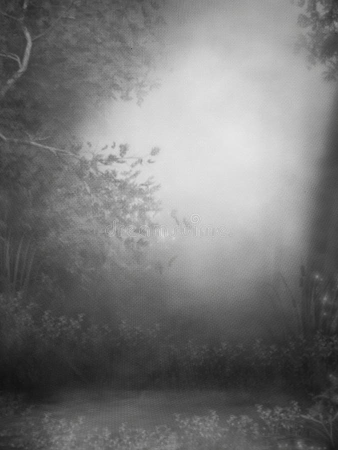 Fotobackdrop, studiofotografie royalty-vrije stock foto's