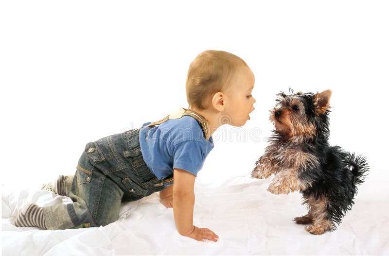 Van de babyjongen en hond puppy het spelen stock foto's Van de babyjongen en hond puppy het spelen stock foto's