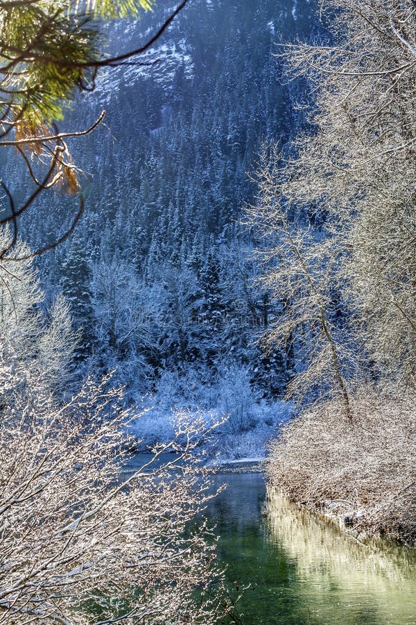 Van de Bergwenatchee van de de wintersneeuw de Blauwe Rivier Washington stock afbeeldingen Van de Bergwenatchee van de de wintersneeuw de Blauwe Rivier Washington stock afbeeldingen