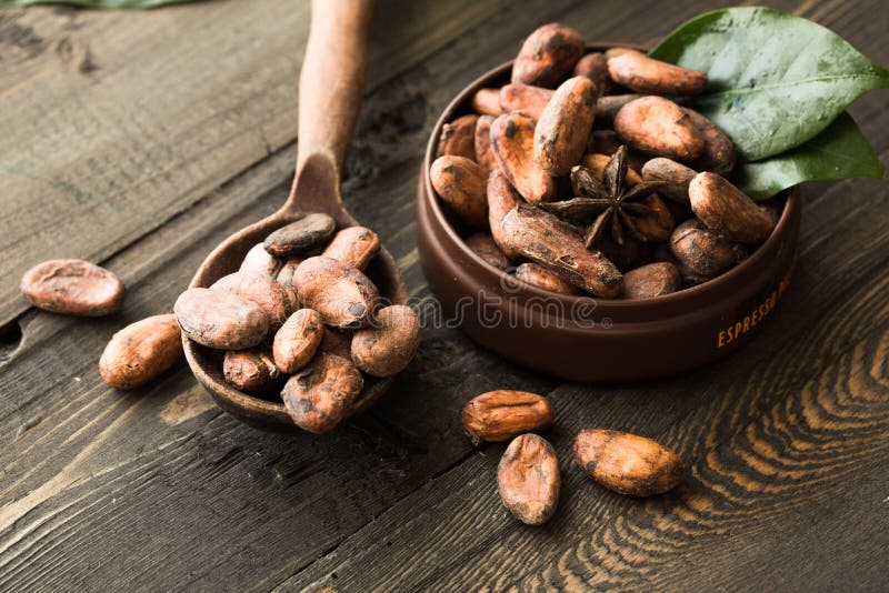 Van de cacaopoeder en cacao bonen op houten achtergrond Donkere verpletterde chocoladestukken en aromatische kruiden royalty-vrije stock foto's Van de cacaopoeder en cacao bonen op houten achtergrond Donkere verpletterde chocoladestukken en aromatische kruiden royalty-vrije stock foto's