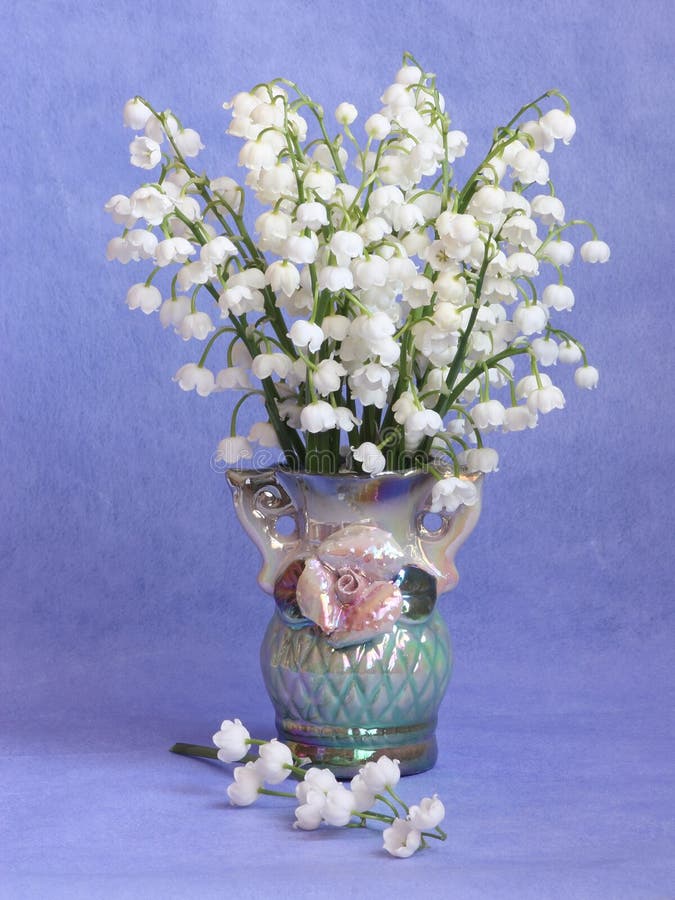 Van de de Gele narciskaart van de moedersdag de foto van de de Lentevoorraad stock afbeelding Van de de Gele narciskaart van de moedersdag de foto van de de Lentevoorraad stock afbeelding