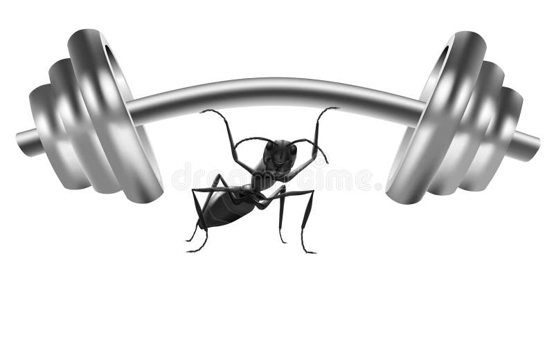 strength of insect world strong ant lift heavy weight the power these bugs can create is very bog concept for fitness or gym workout. strength of insect world strong ant lift heavy weight the power these bugs can create is very bog concept for fitness or gym workout