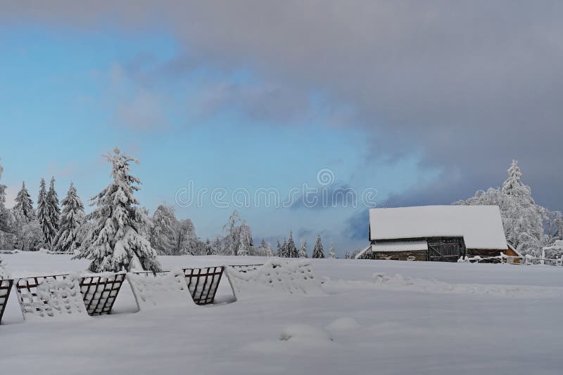 Van de de pijnboomboom van de bergenwinter boslandschap 1 stock fotografie Van de de pijnboomboom van de bergenwinter boslandschap 1 stock fotografie
