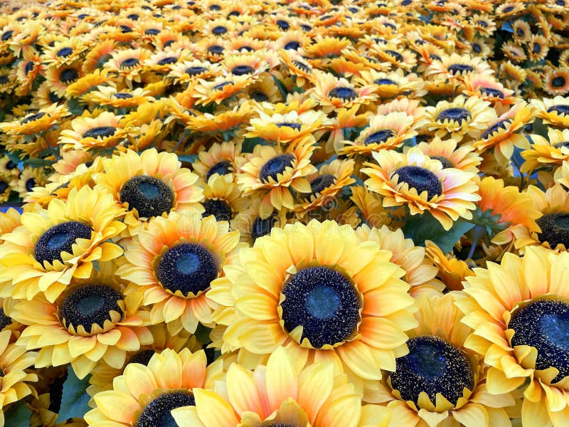 Van Gogh Alive Exhibition Brisbane Queensland Editorial Stock Photo