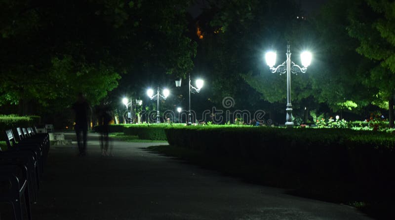 Van het de straatlantaarn brasov de centrale park van de parknacht bomen van de de steegbank stock afbeeldingen Van het de straatlantaarn brasov de centrale park van de parknacht bomen van de de steegbank stock afbeeldingen
