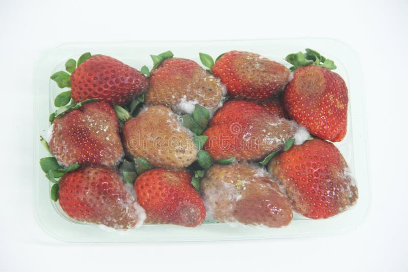 Van het de vorm heerlijk gezond fruit van het aardbeivoedsel landbouw geïsoleerd Sao Paulo Brazil royalty-vrije stock foto's Van het de vorm heerlijk gezond fruit van het aardbeivoedsel landbouw geïsoleerd Sao Paulo Brazil royalty-vrije stock foto's