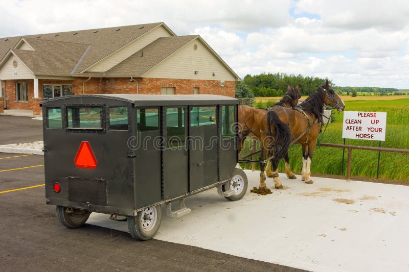 Van vid handtag för två exploaterat hästar en amish vagn arkivfoton Van vid handtag för två exploaterat hästar en amish vagn arkivfoton